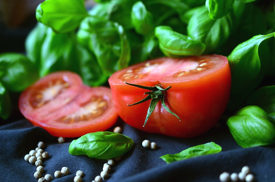 Beautiful Photo food lettuce