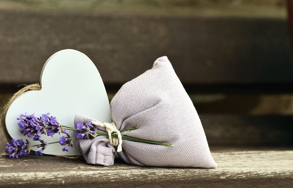 Bags beautiful photo heart