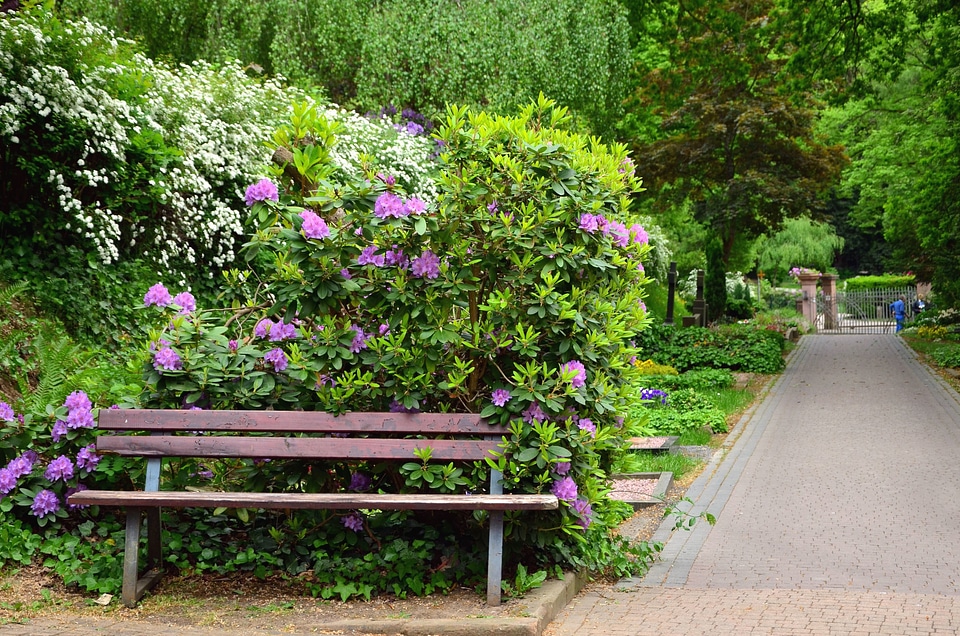 Bench flower flower garden