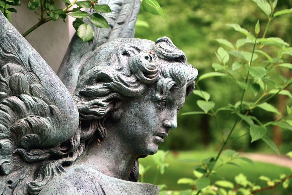 Angel beautiful photo garden