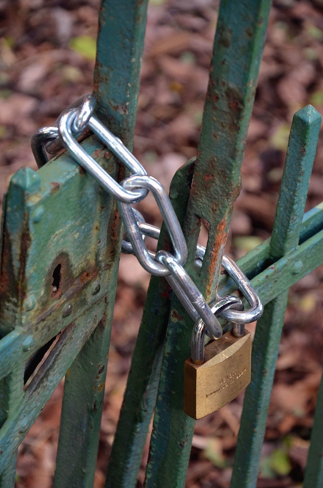 Door lock metal