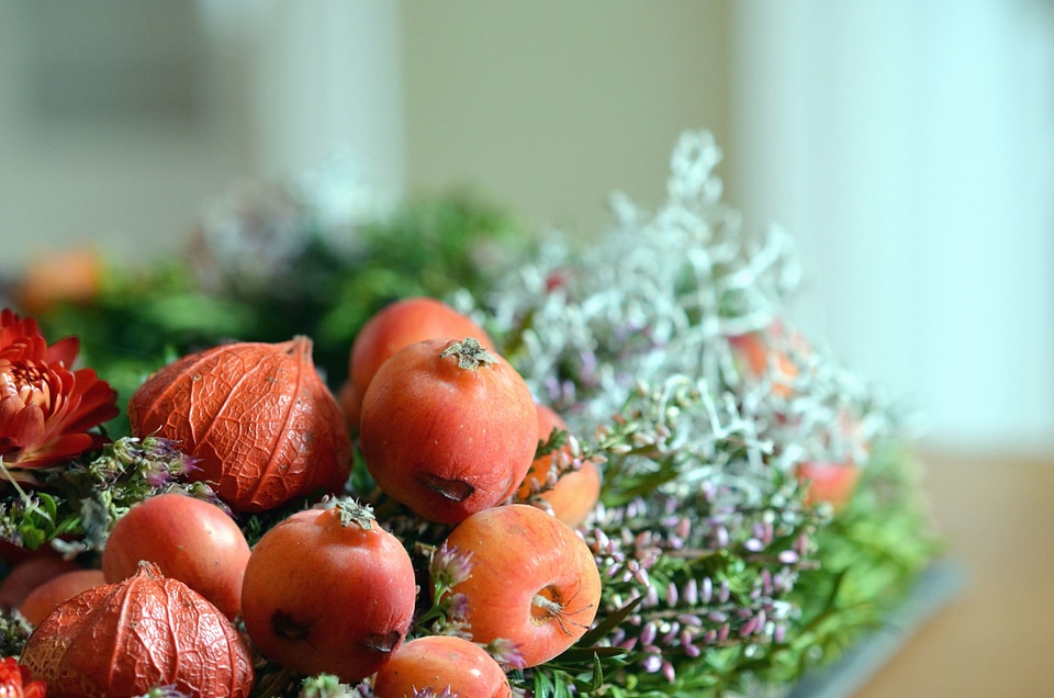Beautiful Photo decoration fruit