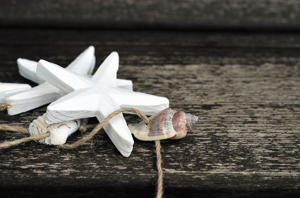 Decoration rope seashell