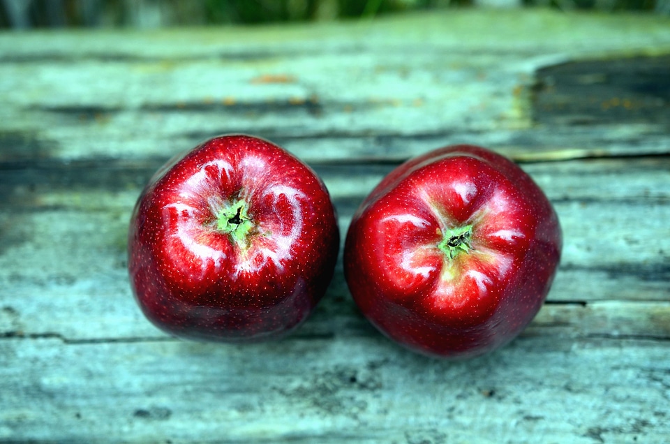 Beautiful Photo food fruit