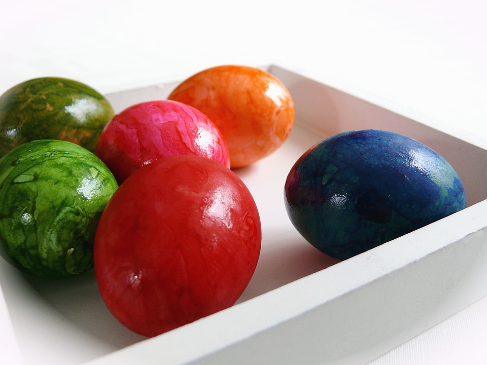 Beautiful Photo bowl color