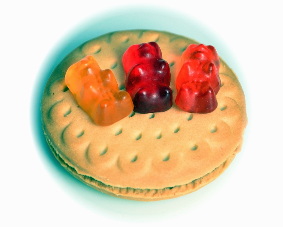 Bear candy cookies
