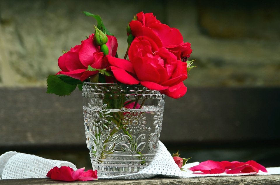 Beautiful Photo blossom bowl