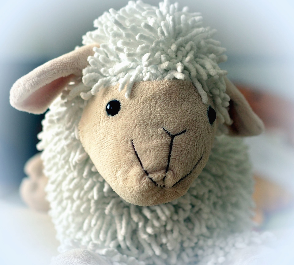 Childhood doll sheep