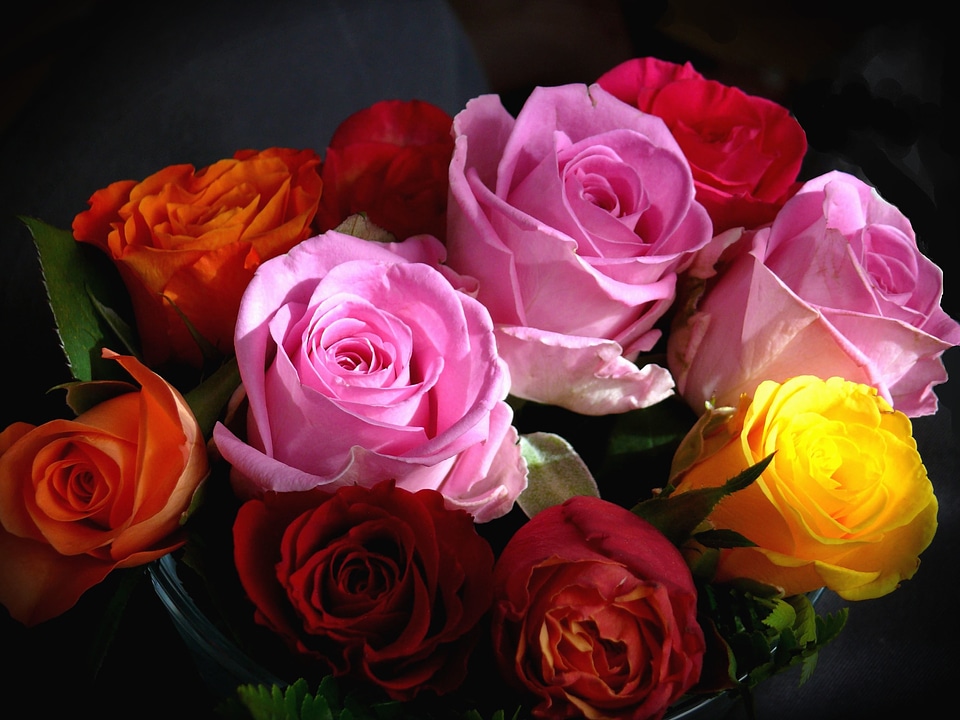 Beautiful Photo color colorful