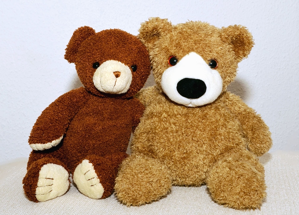 Brown Bear doll dolls