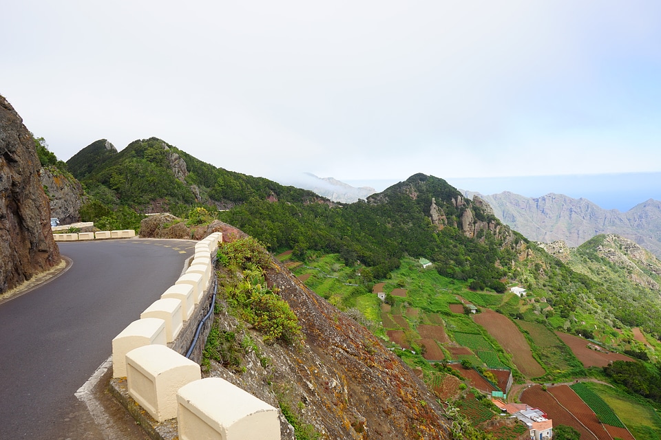 Fields terraces cultivation