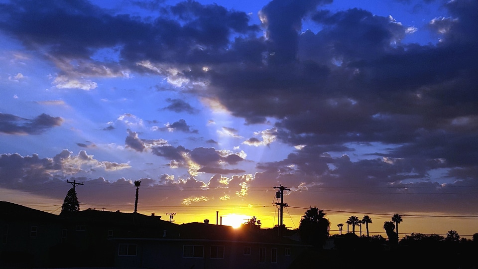 Clouds dawn palm photo