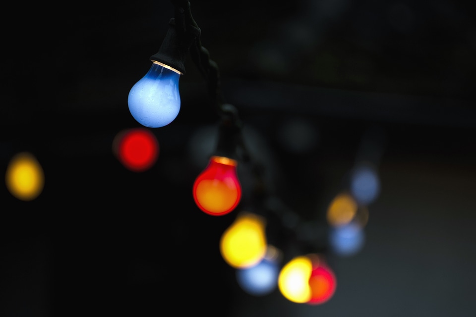 Bulb celebration color