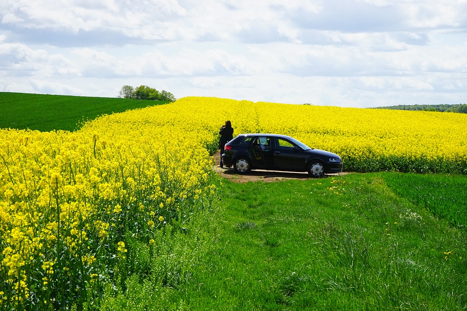 Fields reported photograph