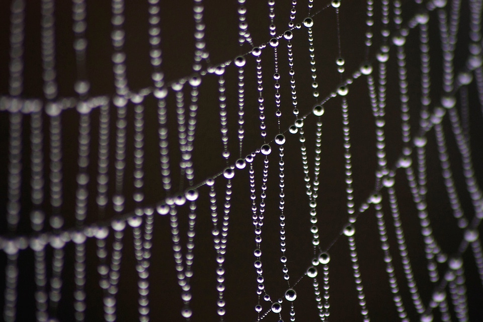Dew monochrome thread