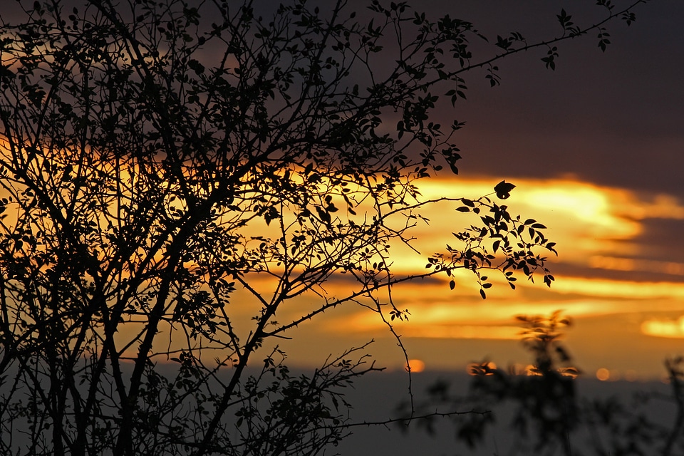 Evening sun evening sky abendstimmung