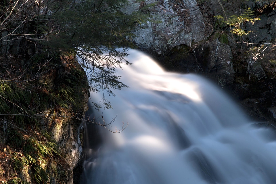 Cascade feather landscape
