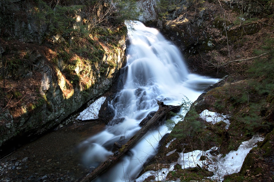 Cascade forest landscape photo