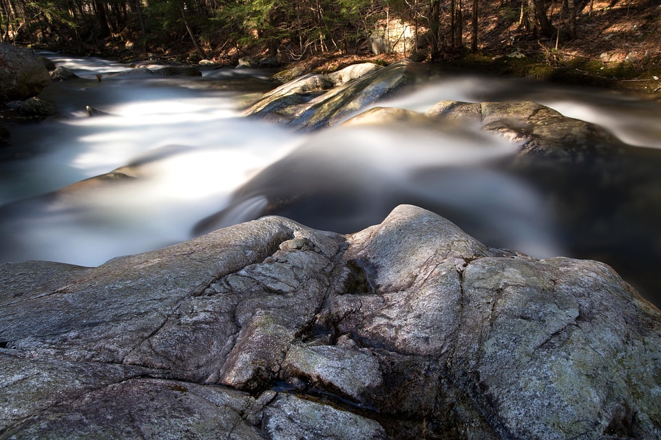 Big Rocks feather forest