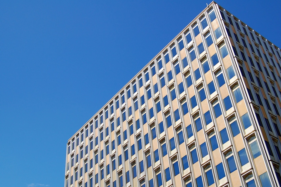 Architecture building business