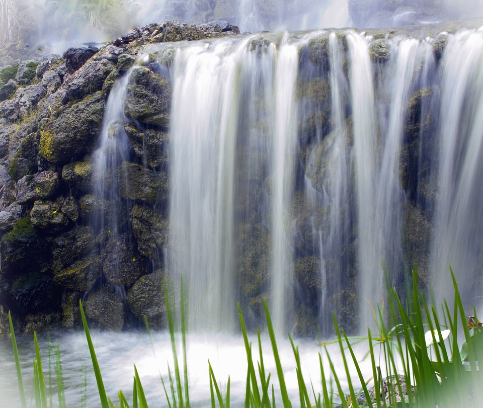 Cascade landscape leaf