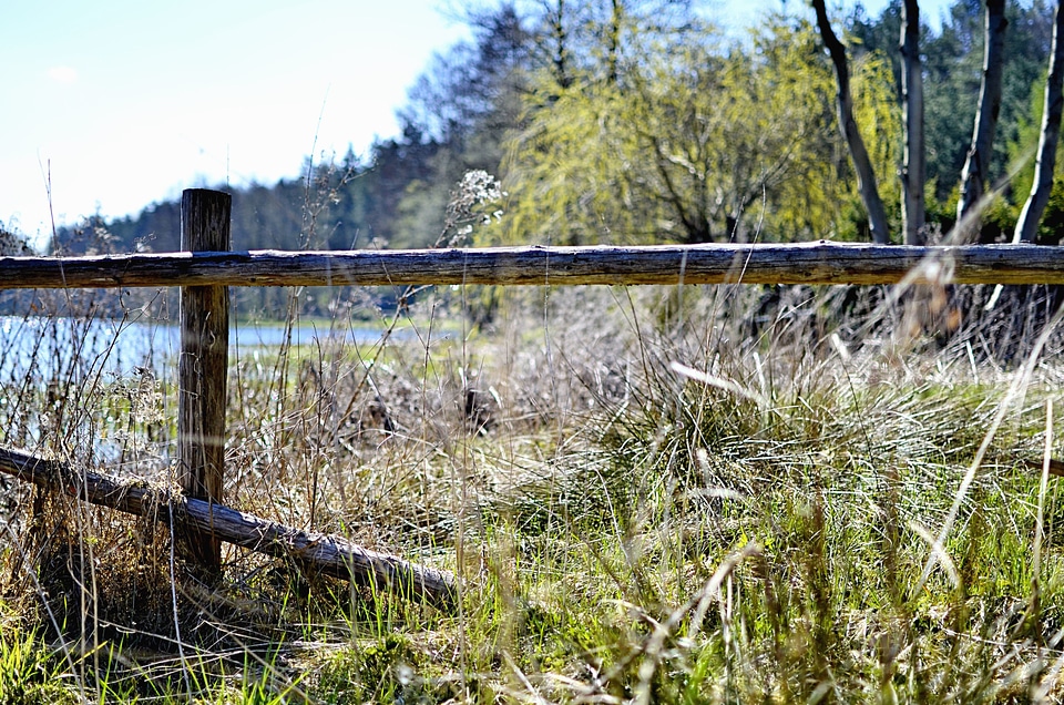 Fence grass plants lake