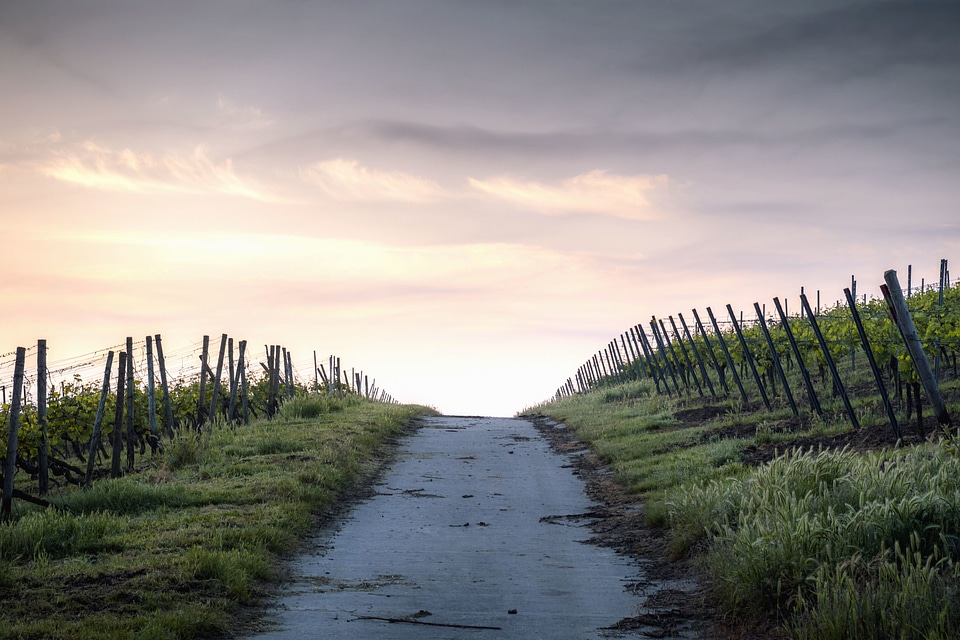 Beautiful Photo camp crops