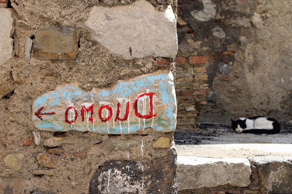 Brick cat graffiti