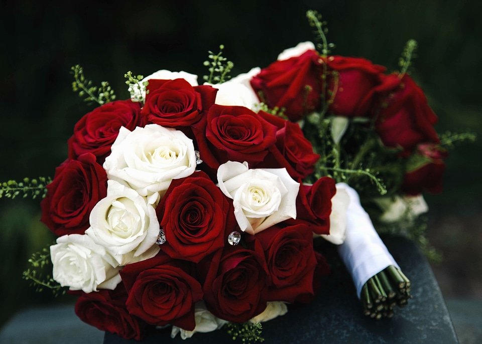 Beautiful Photo bouquet desktop