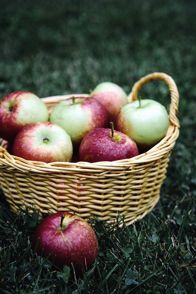 Apple basket fruit