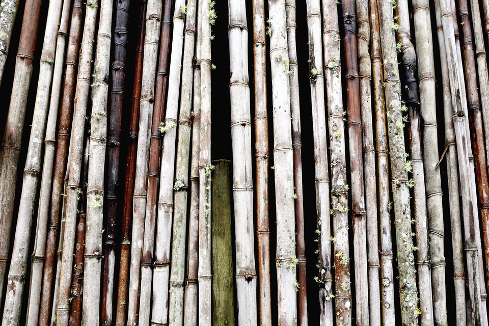 Bamboo fence texture
