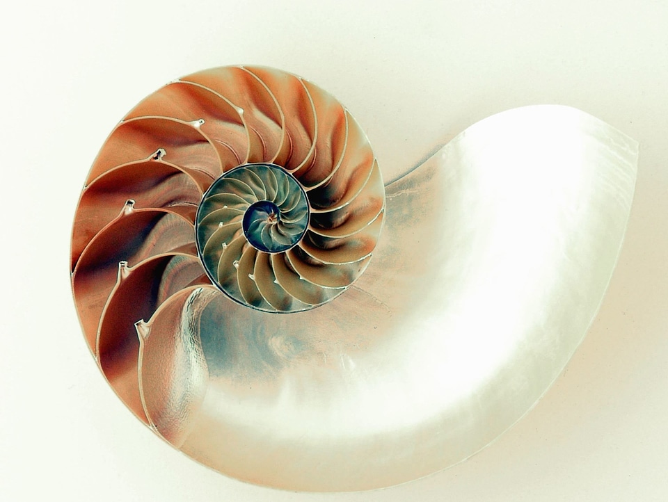 Beautiful Image beautiful photo circle