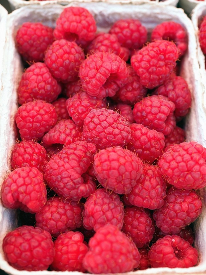 Berries delicious fruit