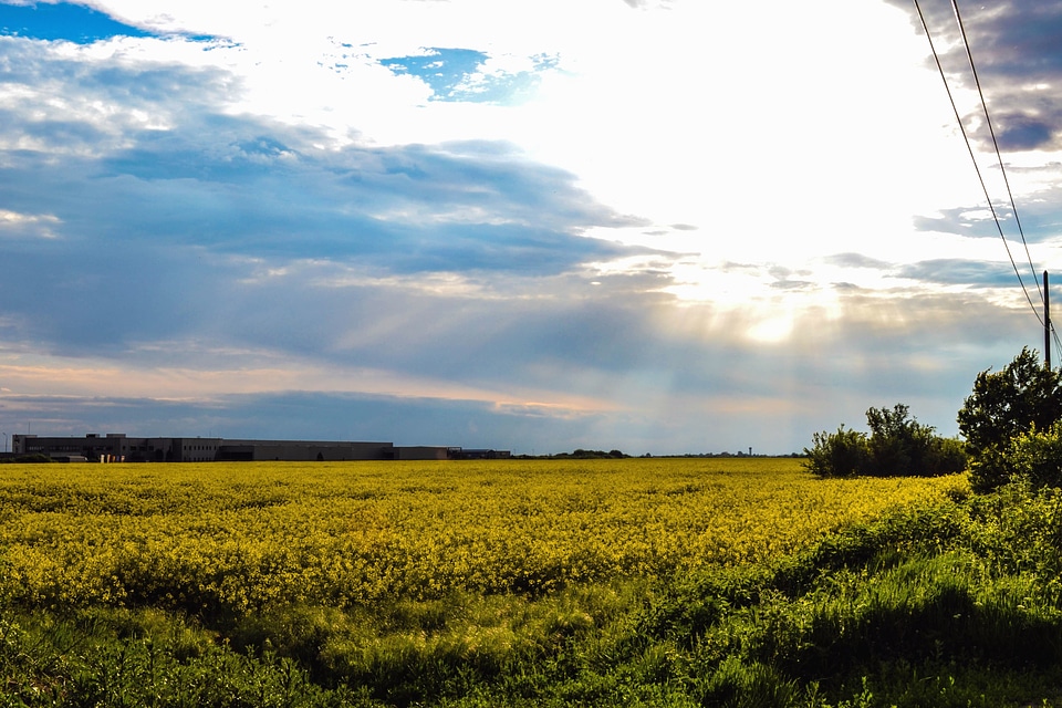 Agriculture clouds countryside