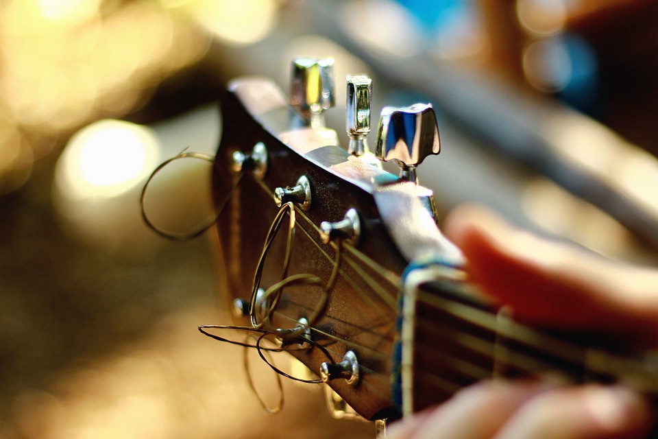 Beautiful Photo guitar instrument