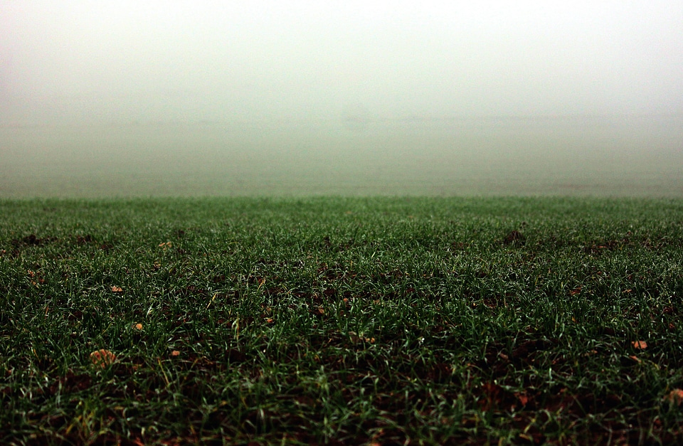Field foggy landscape