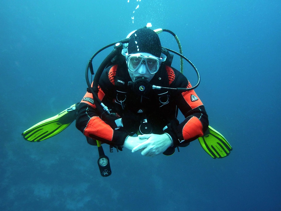 Beautiful Photo deep diver