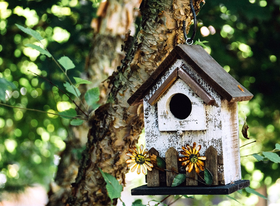 Beautiful Photo bird bouquet