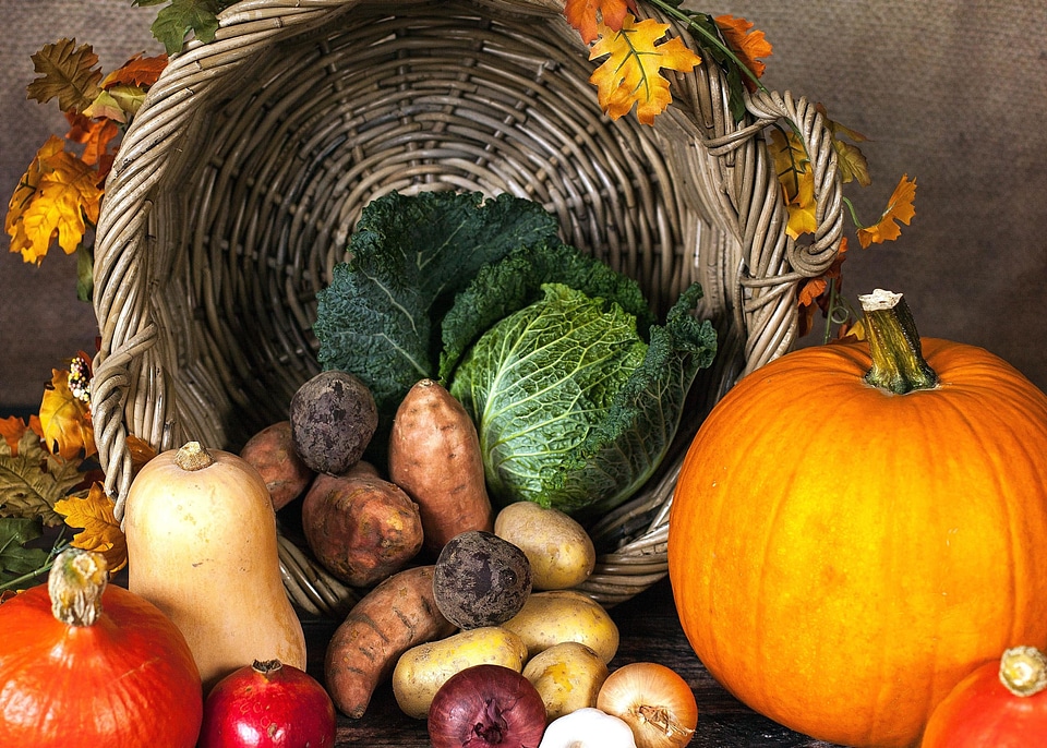 Beautiful Photo food ingredients