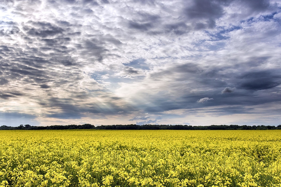 Beautiful Photo clouds crops