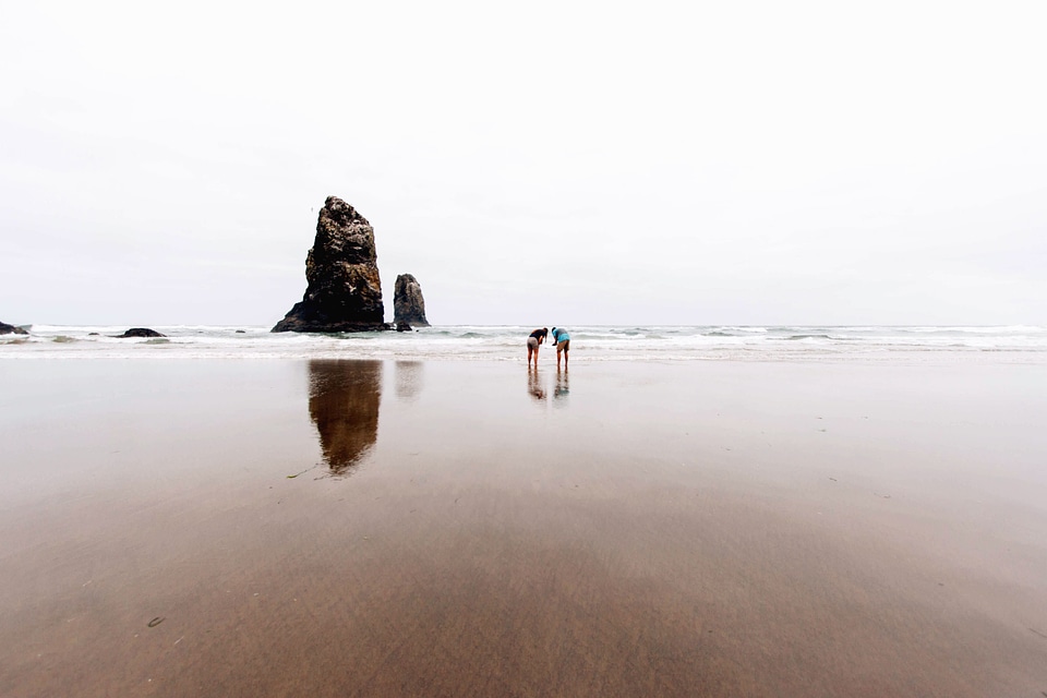 Island nature ocean
