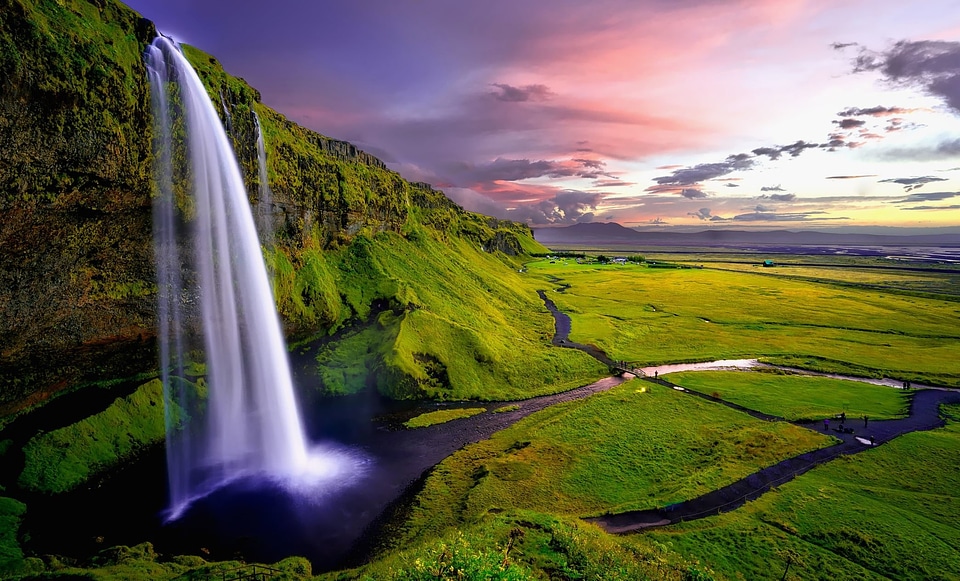 Beautiful Photo grass plants landscape