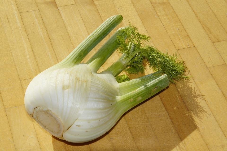 Tuber fennel bulb food