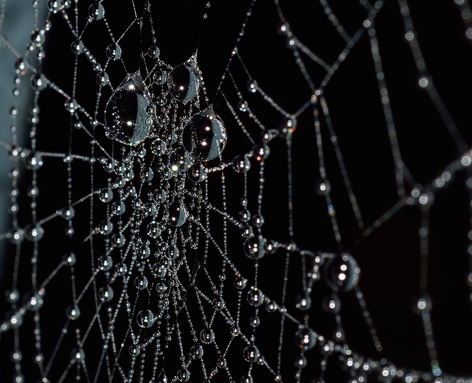 Connection dew spider