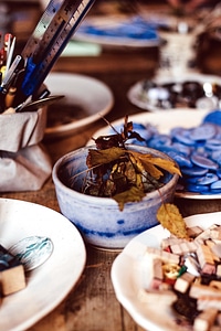 Color focus food