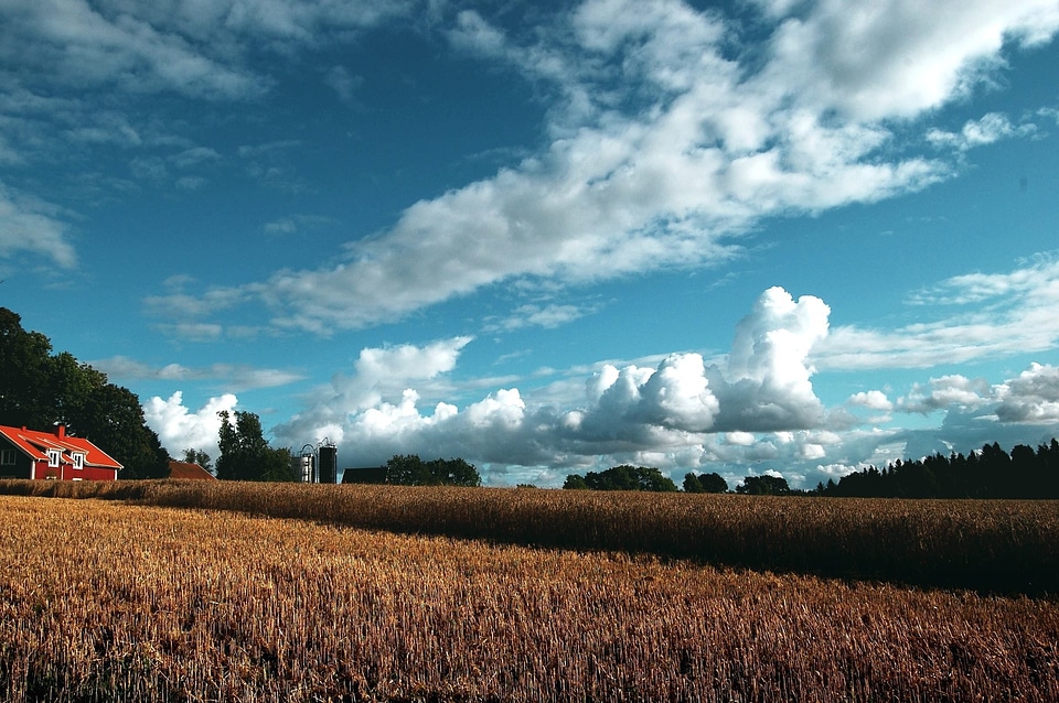 Agriculture barn cloud