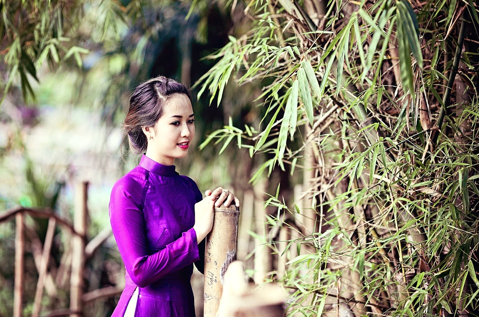 Asian bamboo beautiful
