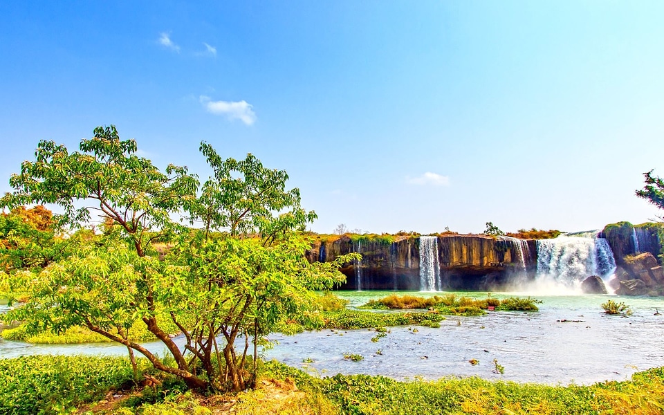 Beautiful Photo grass landscape