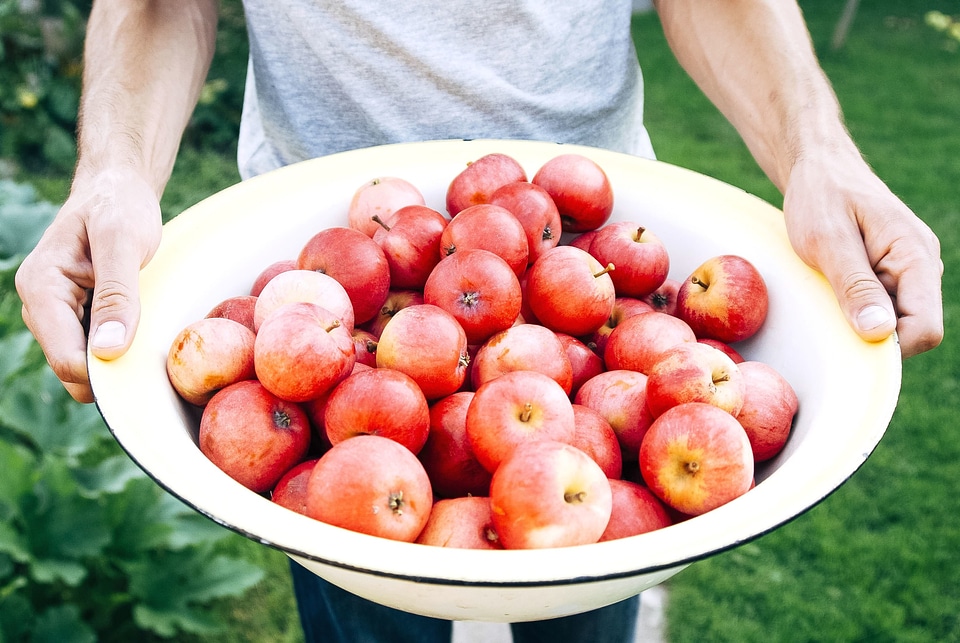 Apple bowl delicious