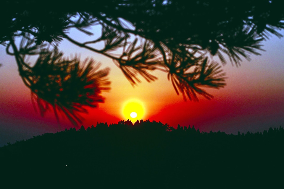 Dusk landscape nature